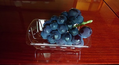 ぶどうの写真