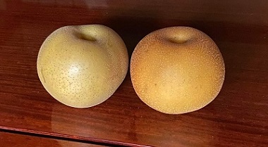梨の写真